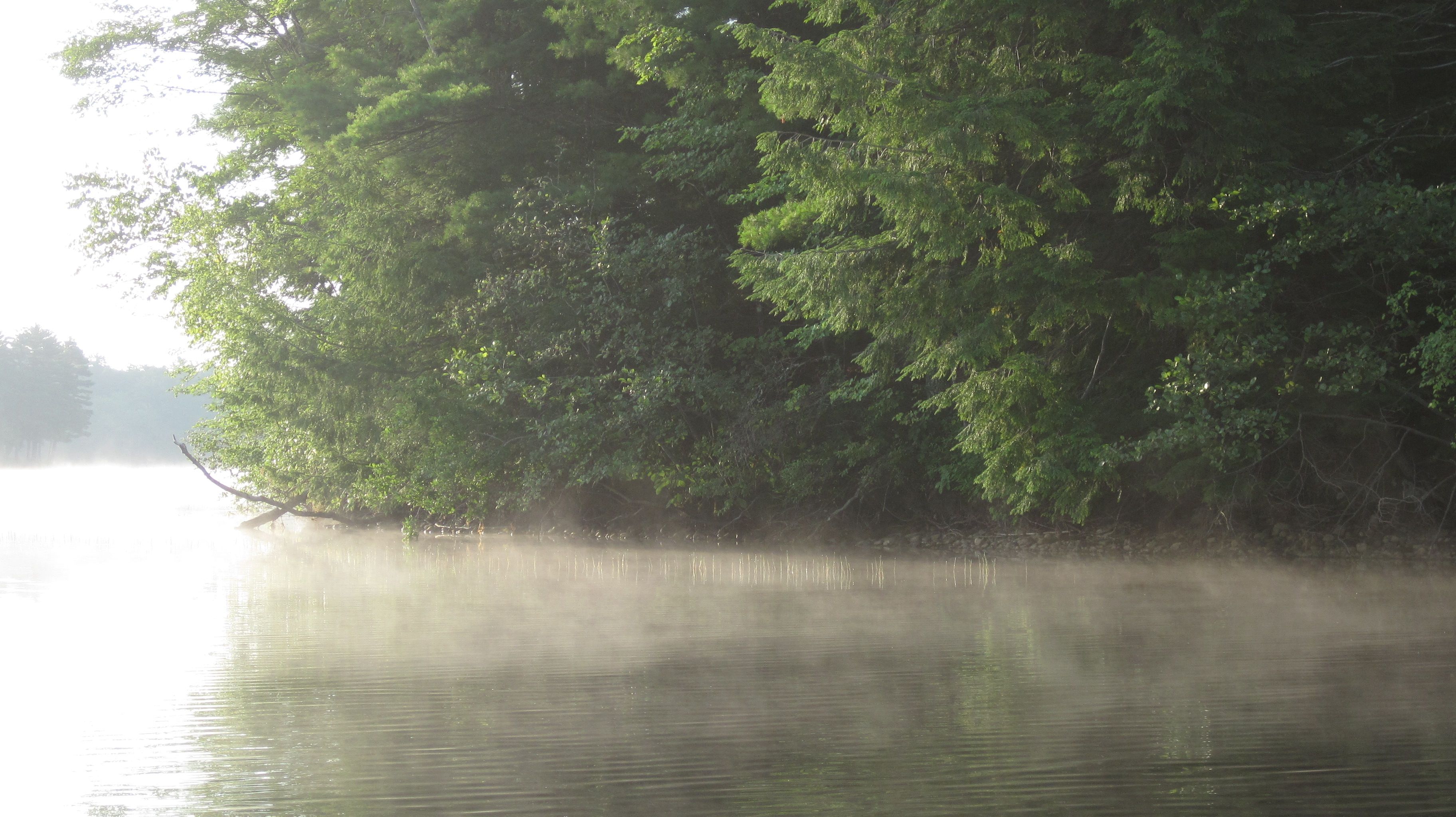 Camp through the mist
