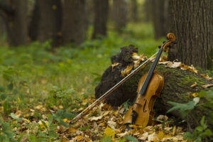 Violin in autumn forest